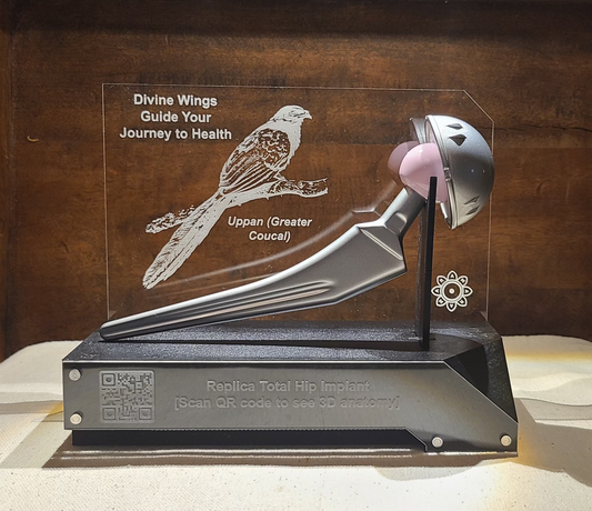 Amara Hip - Divine Wings
